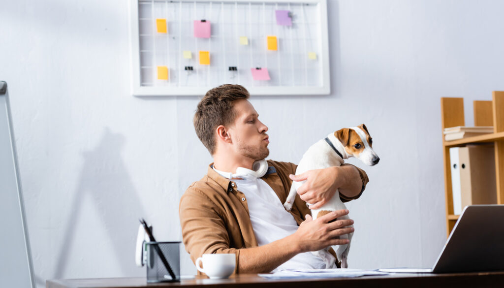 workplace jack russell rules workplace jack russell rules