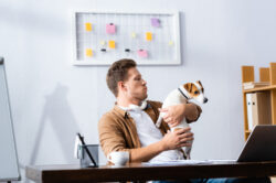 workplace jack russell rules workplace jack russell rules