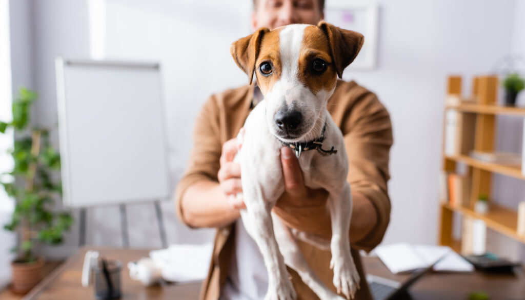 Depositphotos_403207648_s-2019 Depositphotos_403207648_s-2019
