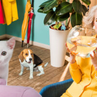 workplace pets