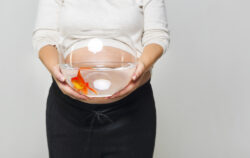 Happy pregnant woman holding a fishbowl with a goldfish in her h pregnant goldfish