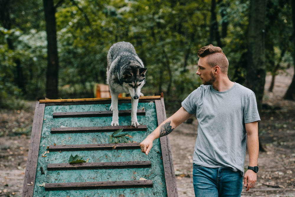 pet trainer