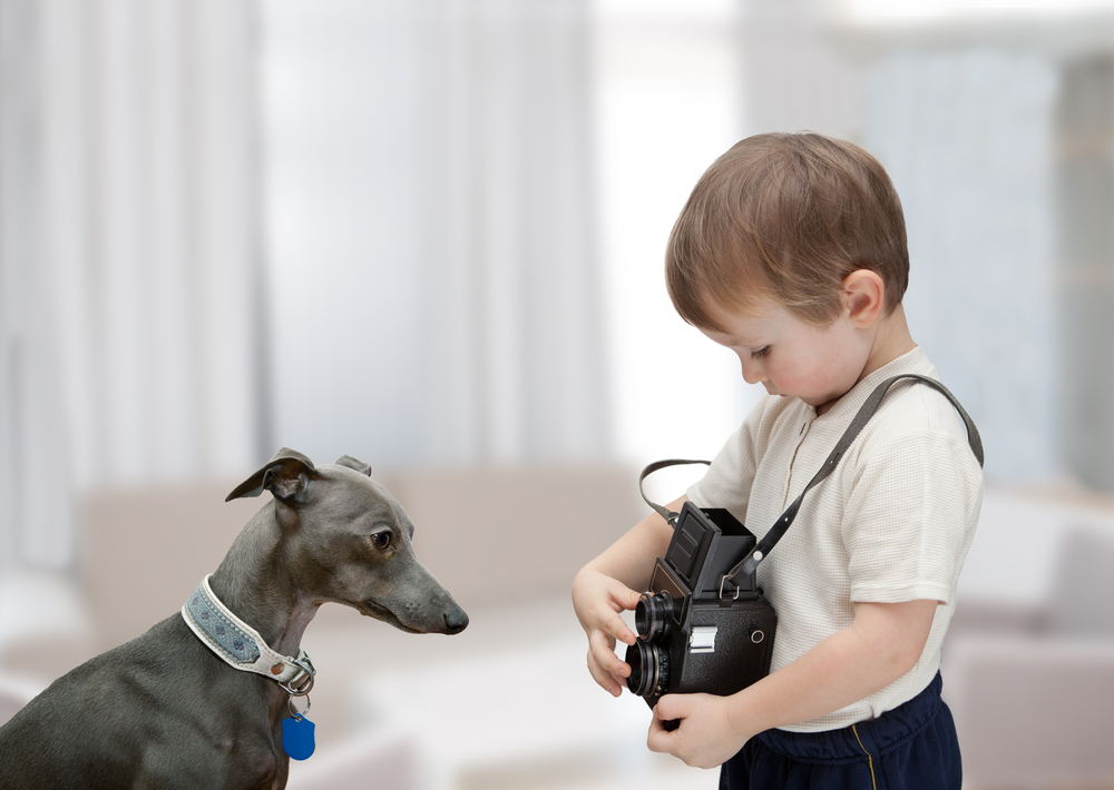 Child and Italian Greyhound