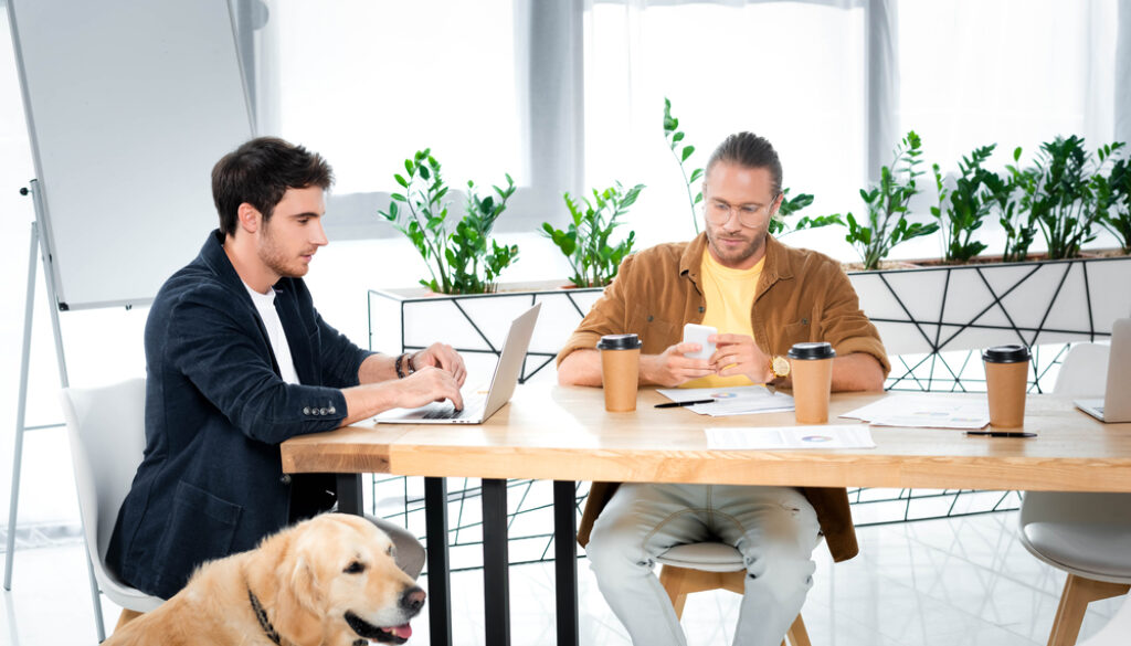 dog in meeting room