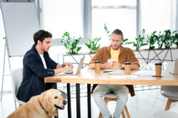dog in meeting room dog in meeting room