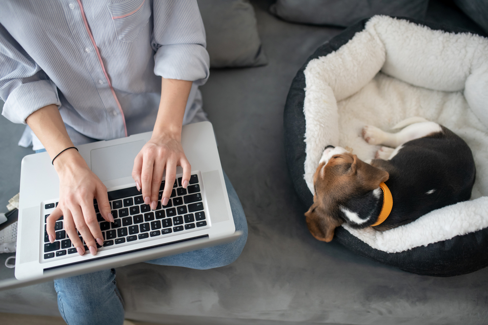 puppy and woman with laptop working from home 