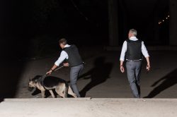 police dog training police dog training