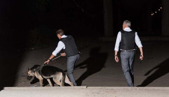 police dog training