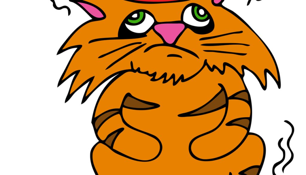 Cats With An Upset Stomach Cats With An Upset Stomach