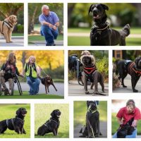 service-dog-transforming-lives